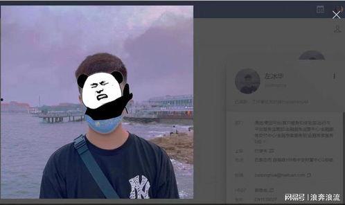 美团员工吃瓜视频大全最新,视频大全大揭秘！