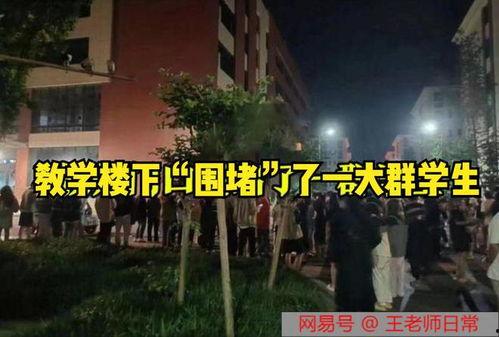 四川传媒吃瓜事件视频下载,视频曝光背后的真相与争议